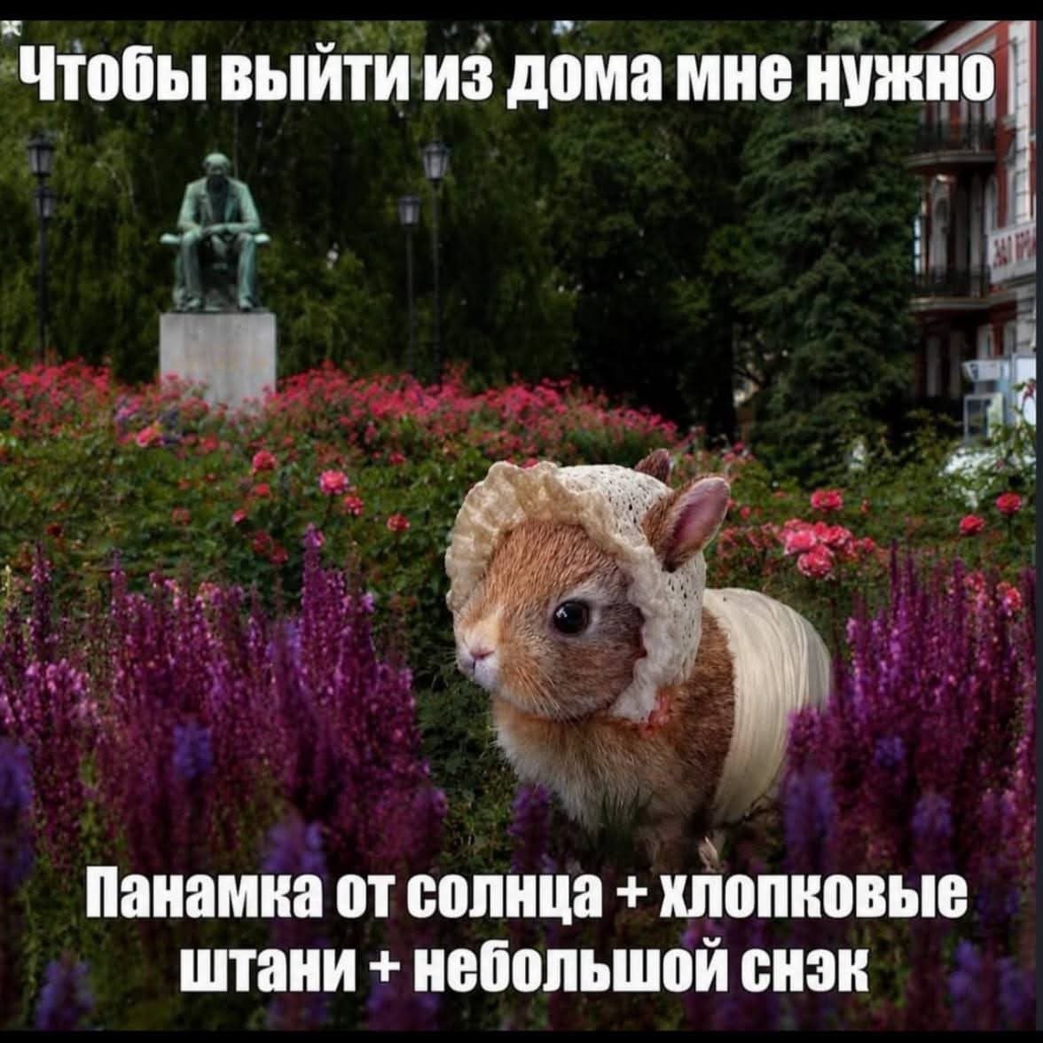 Попунктово — the_dtrikkster · Стрекоза
