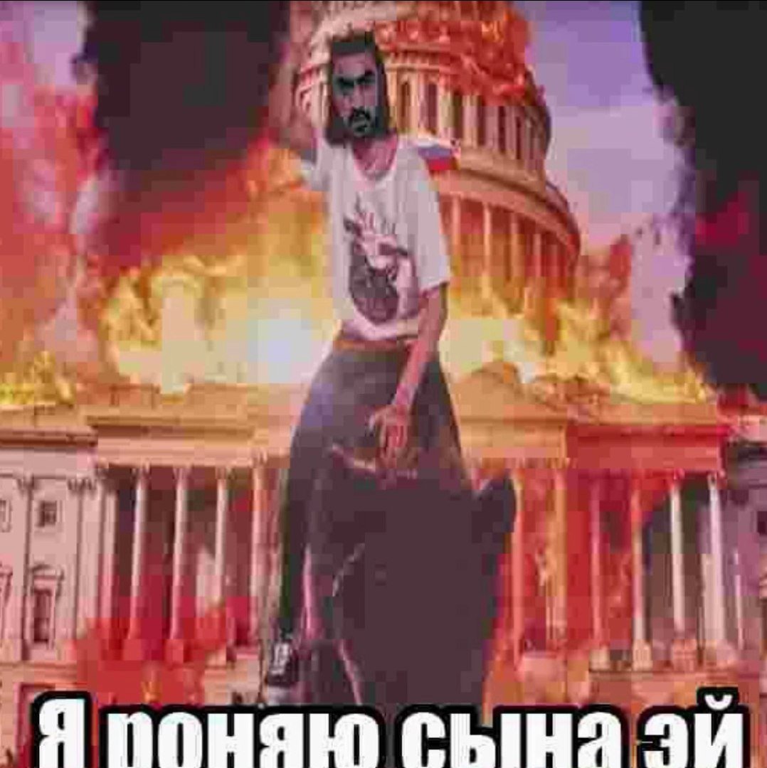 утренний щитпост — kilq · Стрекоза
