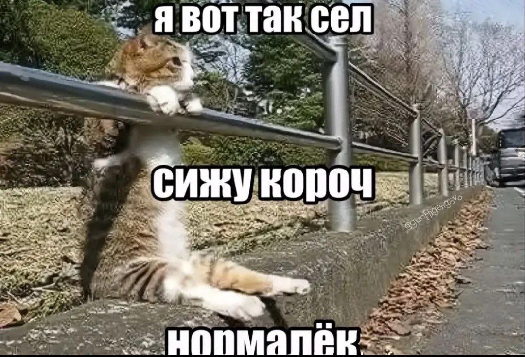 ПЯТНИЦА — LavrentiumPalichEtaVi · Стрекоза