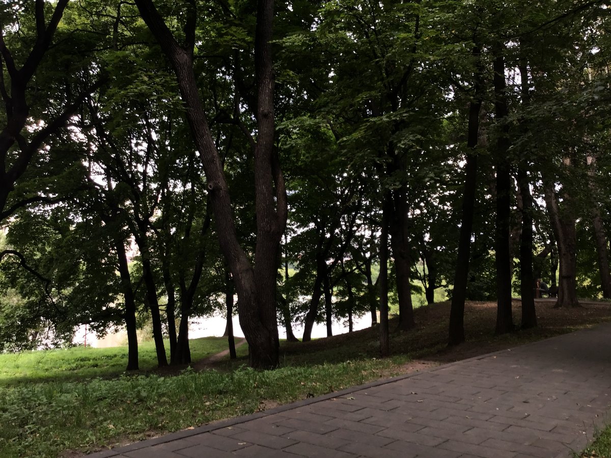 Сидеть в парке Лефортово и читать посты на айпаде очень мощно — VASD4 · Стрекоза