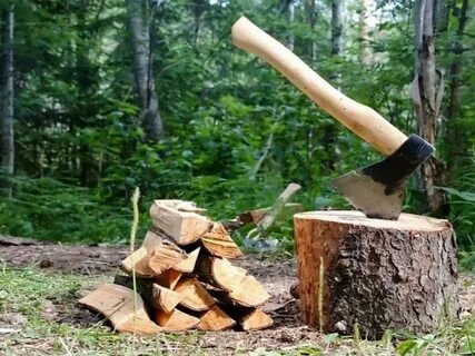 Всем доброго дня. Я наконец-то нашёл свое хобби Это — колка дров. Я п… — Borssalino · Стрекоза