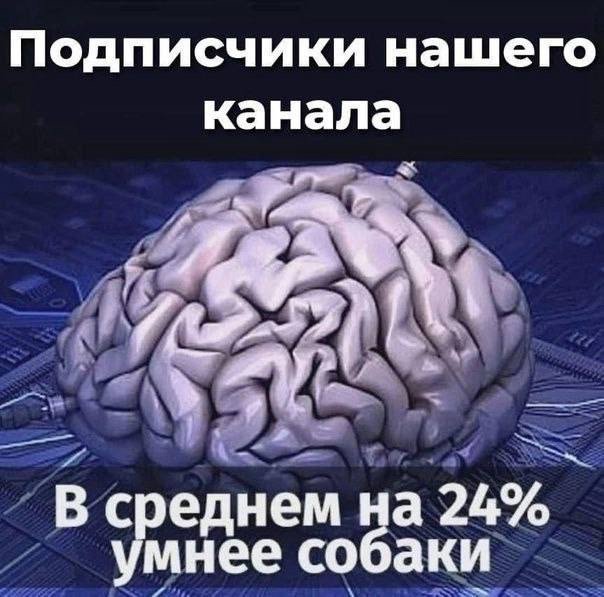 Питер кто дружить Пункты 1) НЕ должен работать. 2) НЕ должен помогать… — Hacker2281337 · Стрекоза