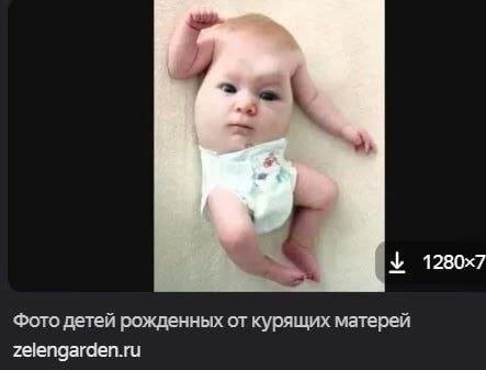 Оцените мою любимую единицу культурной информации в цифровом формате — SuperSlender_2004 · Стрекоза