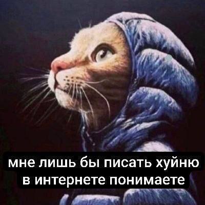 спать в стрекозе - жить вечно — killer228_tyoma · Стрекоза