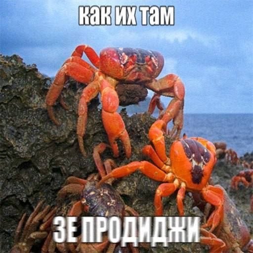 (обложка с оригинального постав с мешапом) — 1.Kla$ fun club · Стрекоза