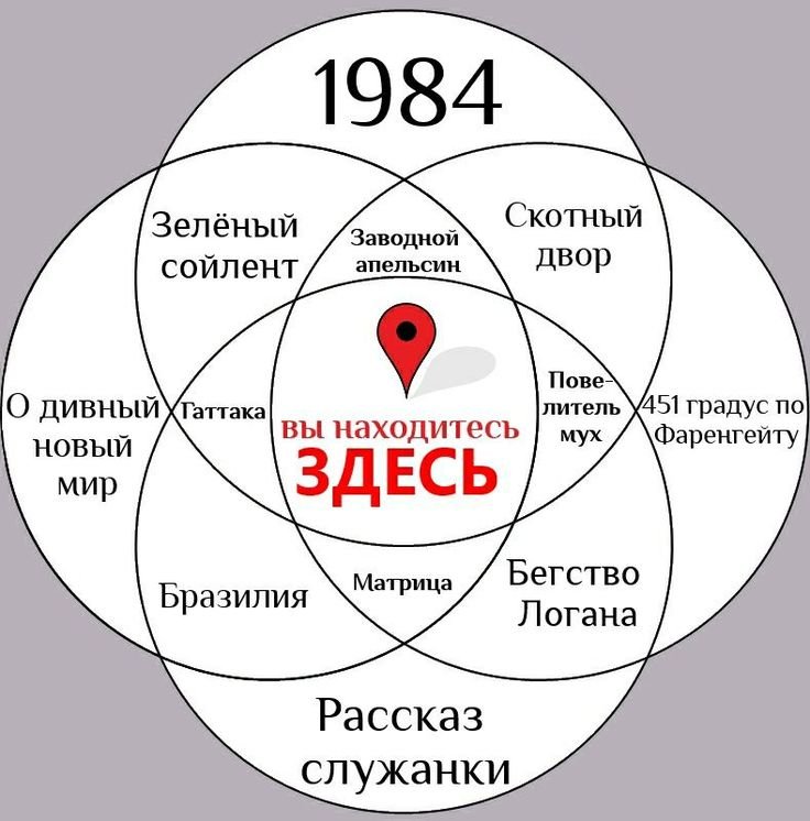 Я не люблю книгу 1984 по ощущениям первая половина книги сухое кошачь… — masturbek · Стрекоза