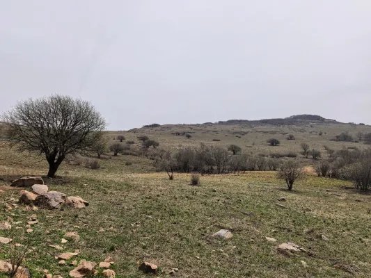 random — nabsjwv · Стрекоза