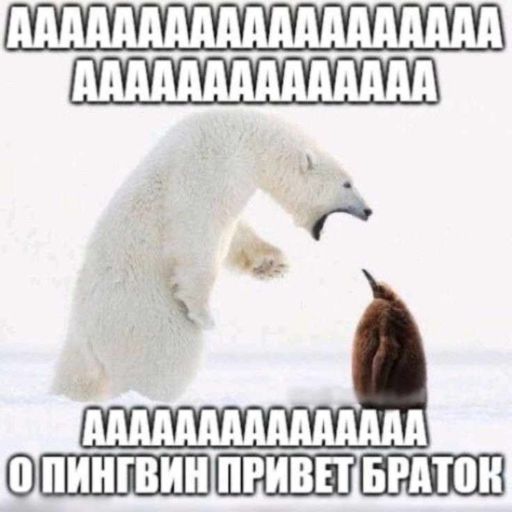 питер кто дружить — Hacker2281337 · Стрекоза