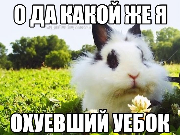доброе утро — david · Стрекоза