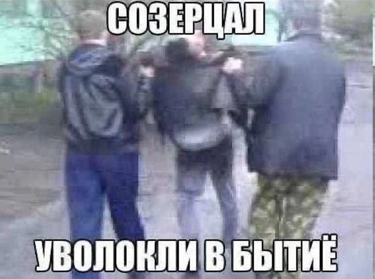 Как ощущается когда выходишь из стрекозы: — DirektorInterneta · Стрекоза