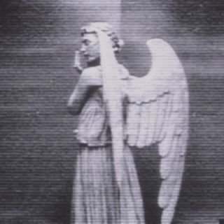 злой волк — ozma · Стрекоза