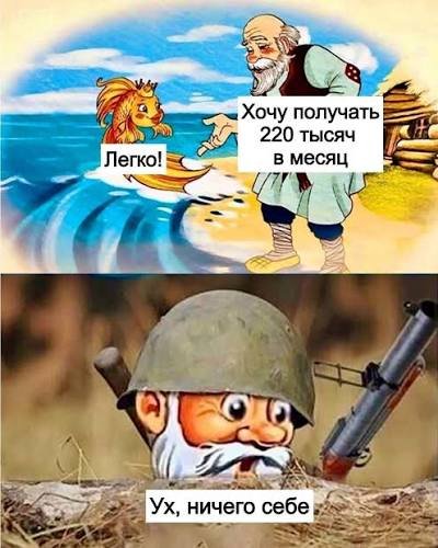 дегустация макарон в виде бабочки — maksonyzor · Стрекоза