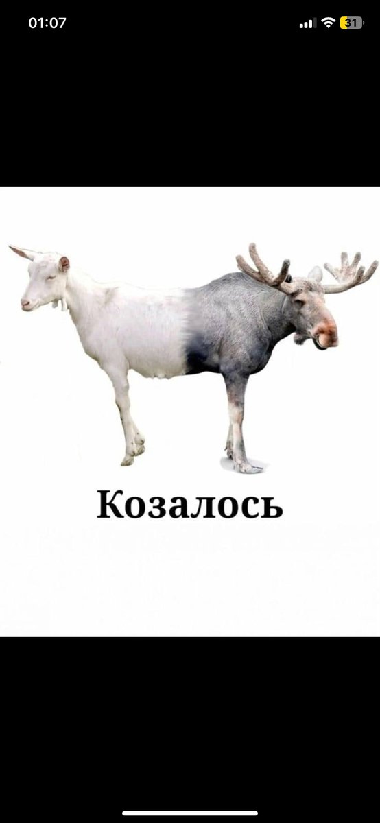 Для тех, кому не до конца ясно и кто испытывает потребность в дополни… — OPTOM · Стрекоза