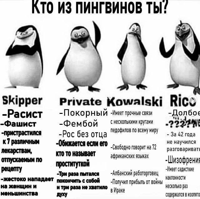 Одмин паблика Ковальский, а кто вы???? — паблик для крутых · Стрекоза