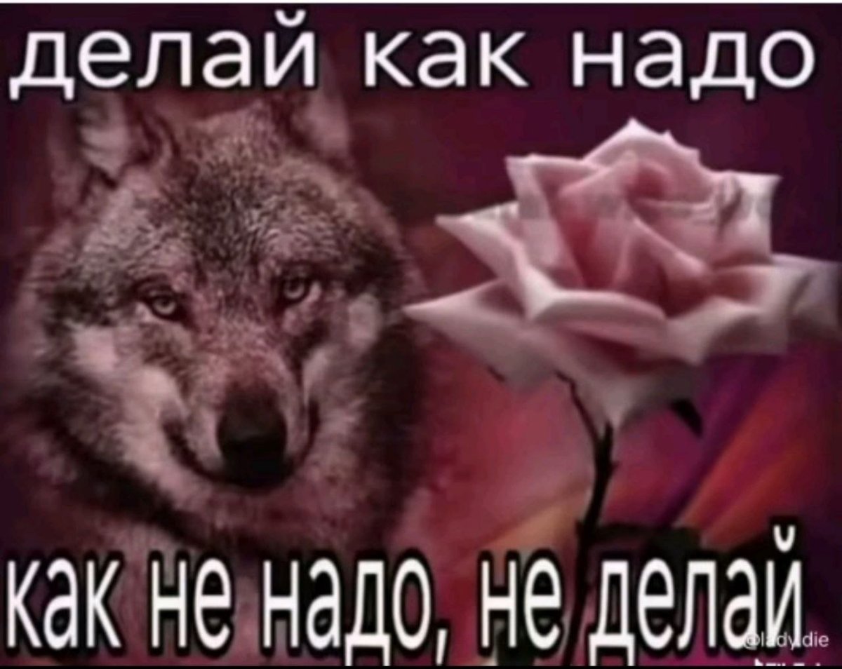 Приветствую всех, я добавился только сегодня, и здесь реально очень п… — Haro16 · Стрекоза