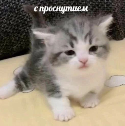Всем тем кто только уснул и тем кто еще даже не проснулся - посвящает… — ReznoVorkuta · Стрекоза