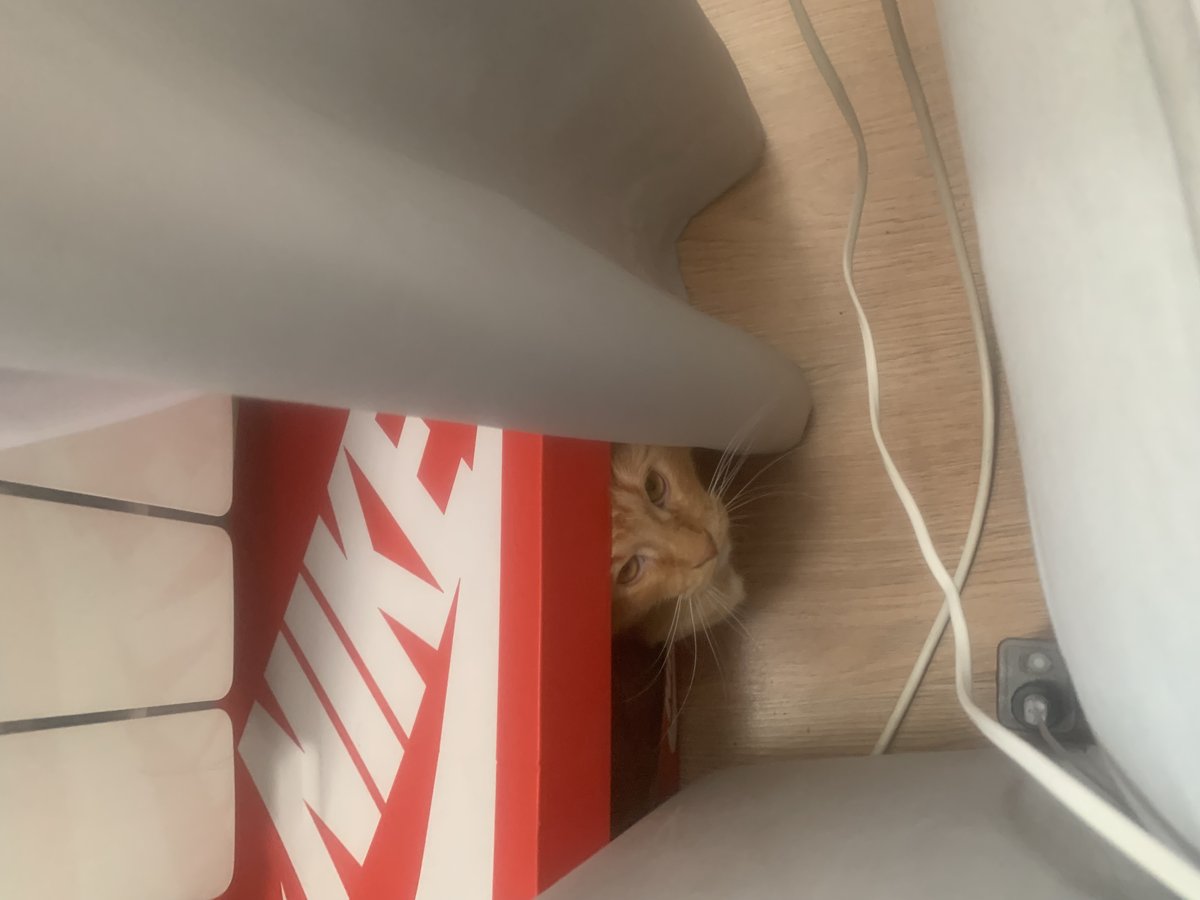 Что ты делаешь на моей могиле?! — UBERCRUELTY · Стрекоза