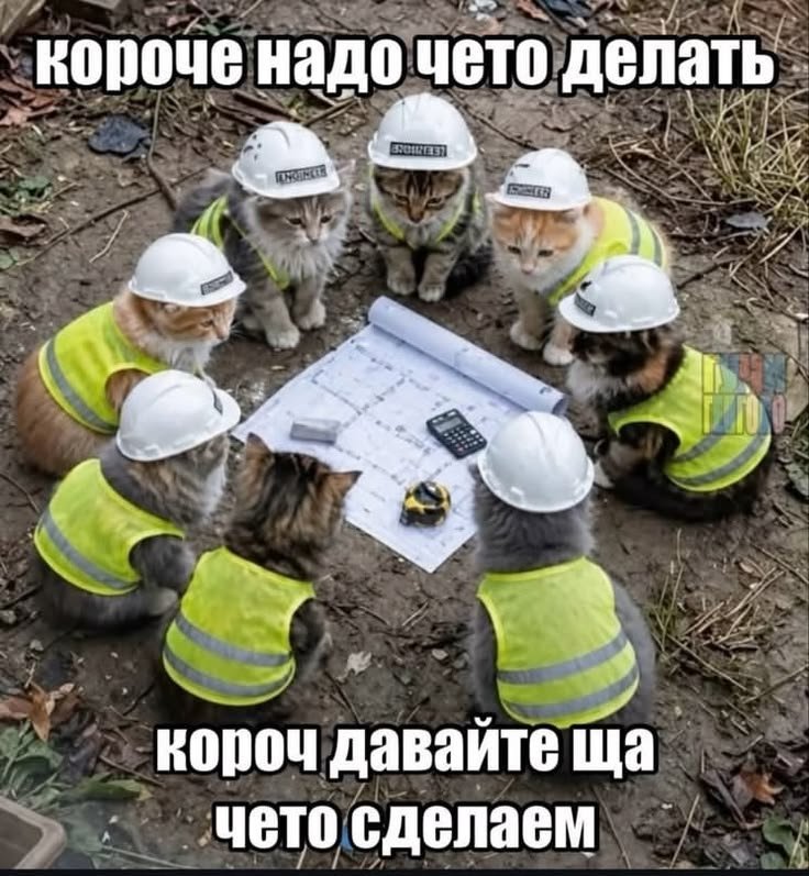 доброе утро — david · Стрекоза