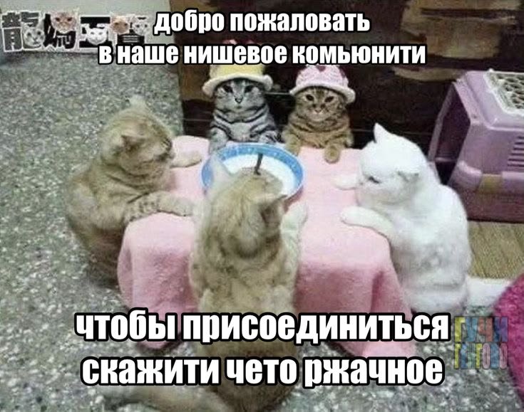 тупа стрекоза — david · Стрекоза