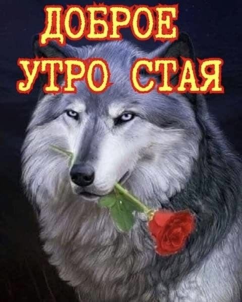 папочка вернулся ебана — паблик для крутых · Стрекоза