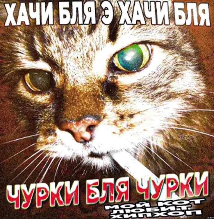 Мне папа запрещает долго сидеть за компьютером, если я долго сижу за… — sukgalbatch_skaragamuchkagak · Стрекоза