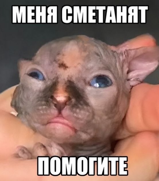 О нииит — somewhere · Стрекоза