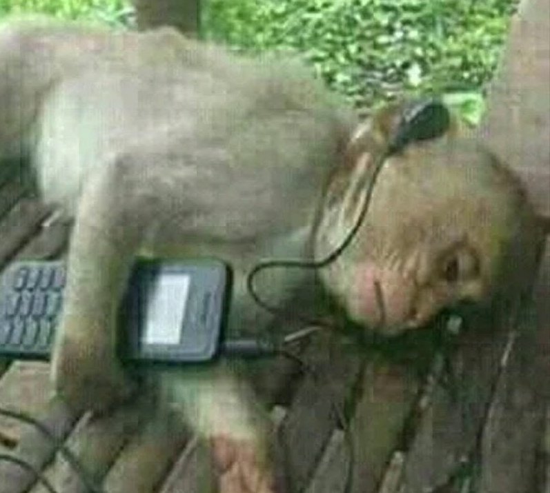 Лучше этого я ещё ничего в жизни не слышал — XxX_Darwin_Wotarson_XxX · Стрекоза