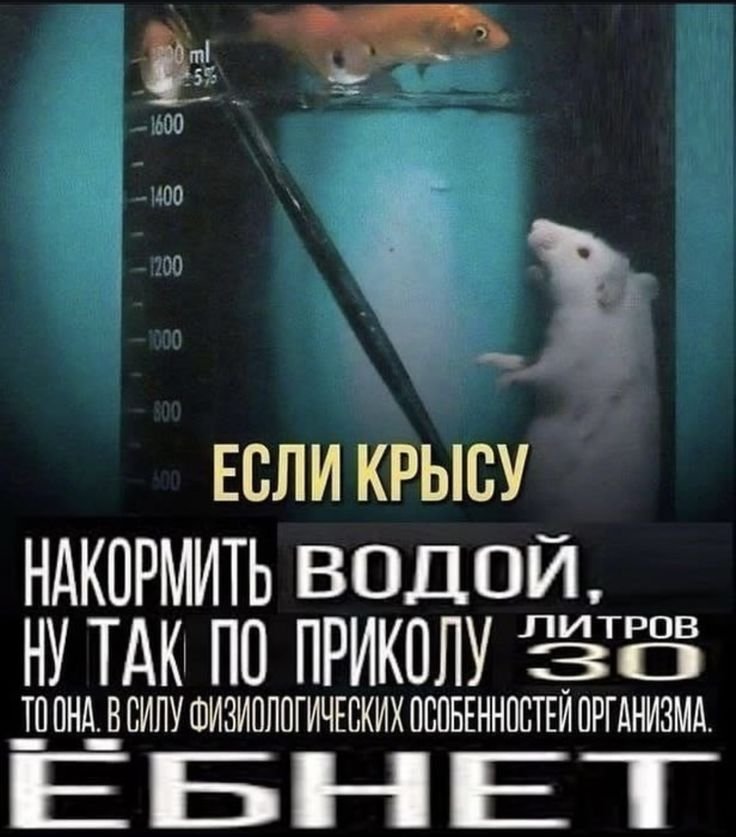 факт — perdej_nejni · Стрекоза