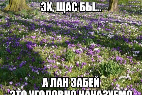 вы когда нибудт задумывались?!?! — soulss · Стрекоза