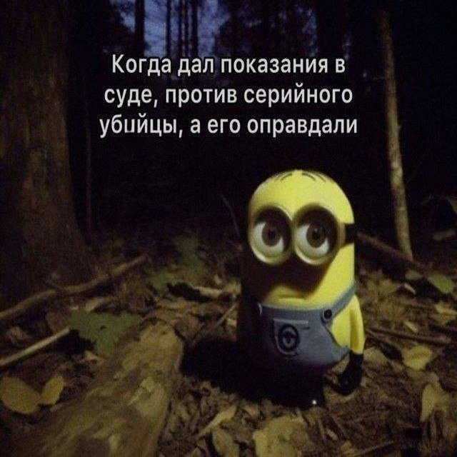 Мем смешной, ситуация вчерашняя — Steveechanskiy · Стрекоза