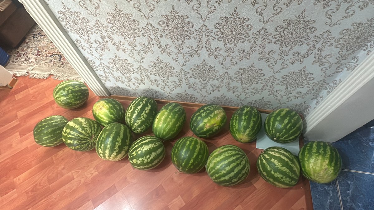 вы просыпаетесь и видите это ваша реакция? — hen6b4unrrbb · Стрекоза