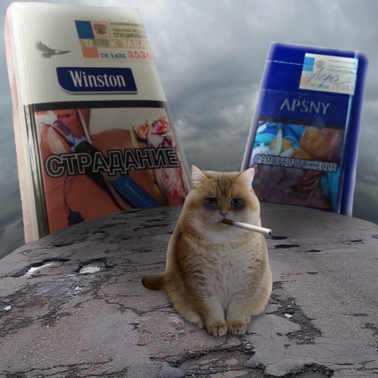 Мой фотошопи картинка №1 — GONDONIO_557 · Стрекоза