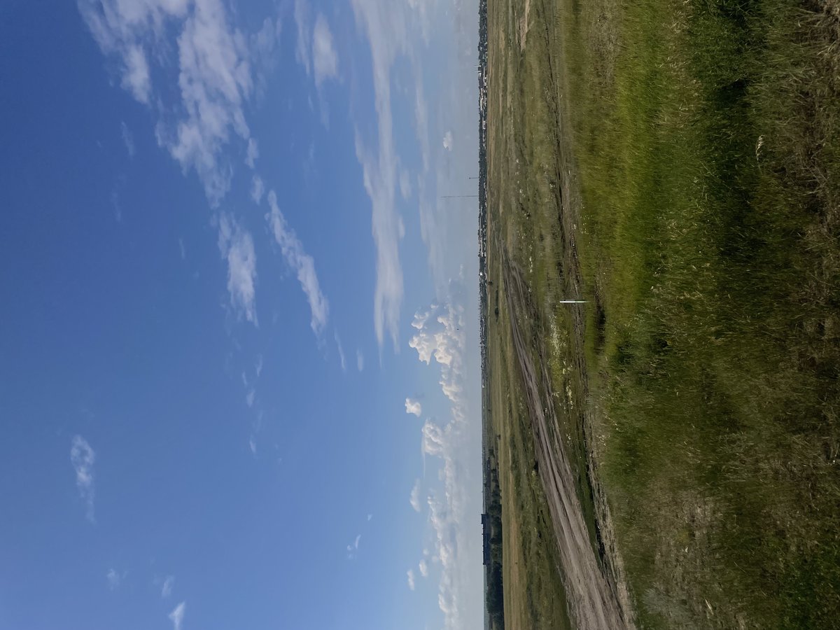 Roads — фанаты женского юмора · Стрекоза