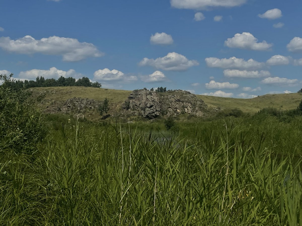 grass — фанаты женского юмора · Стрекоза