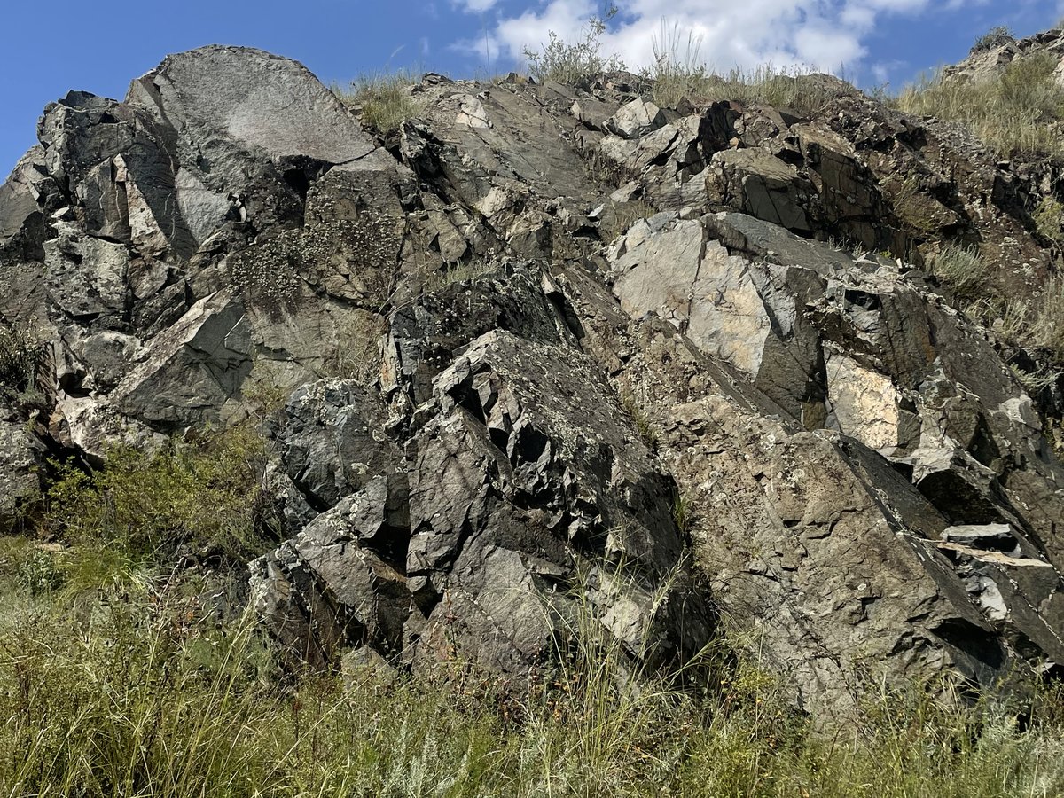 rock — фанаты женского юмора · Стрекоза