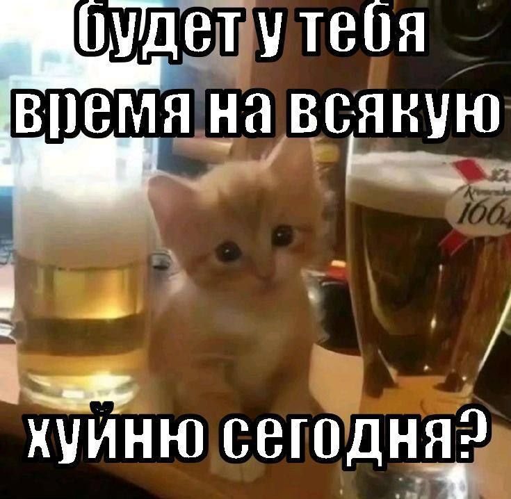 на скроллинг ленты в стрекозе — soukeye · Стрекоза