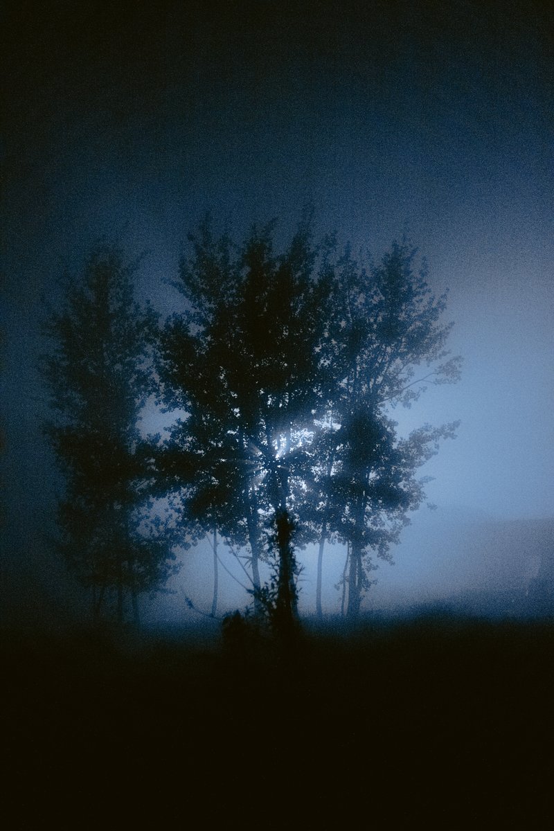 Щипосост №0 — sovorona · Стрекоза