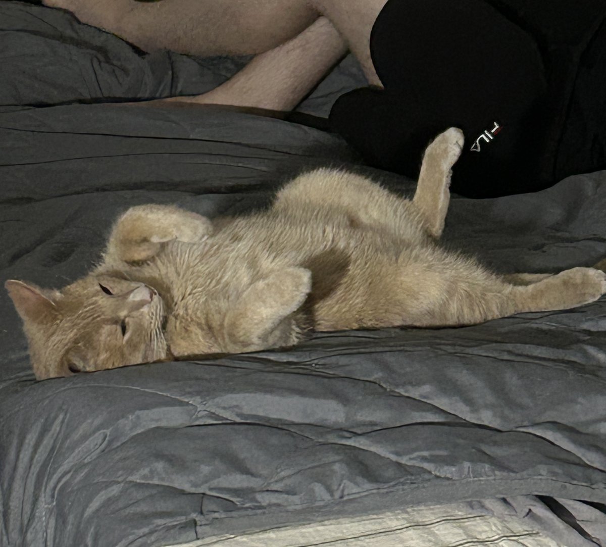 ему пох кто там че там он игрок вредитель — mr.nipple · Стрекоза