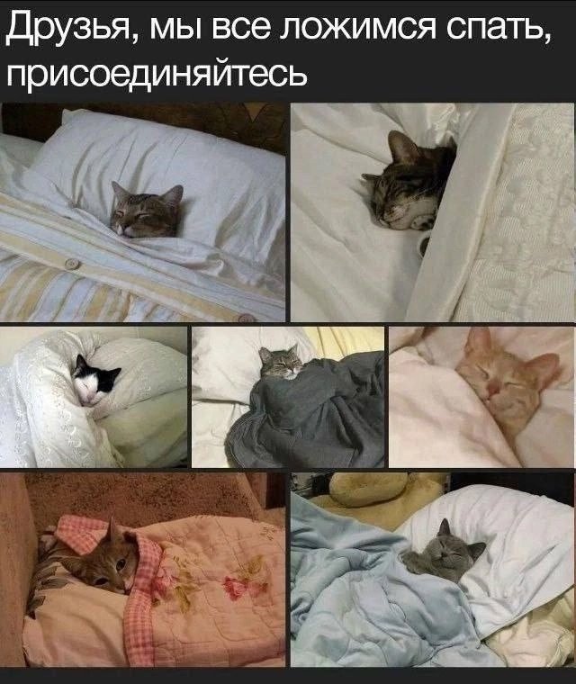 Всем тем кто только проснулся и тем кто еще даже не ложился - посвяща… — ReznoVorkuta · Стрекоза