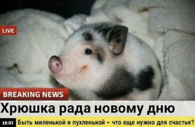 Новый день новый завод все как всегда, работай империя, работай! — Крутые мальчишки · Стрекоза