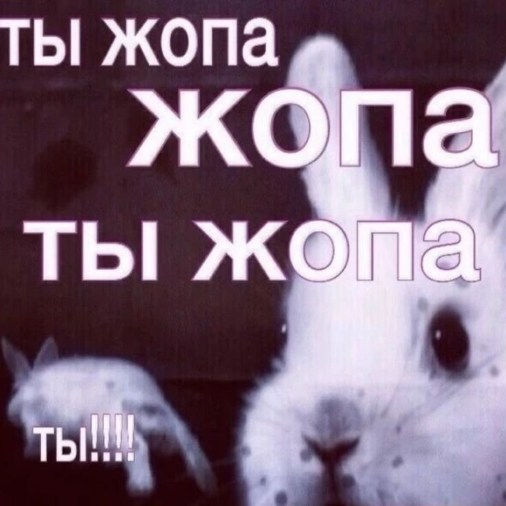 Мне очень нравится эта пикча — LazyComet · Стрекоза