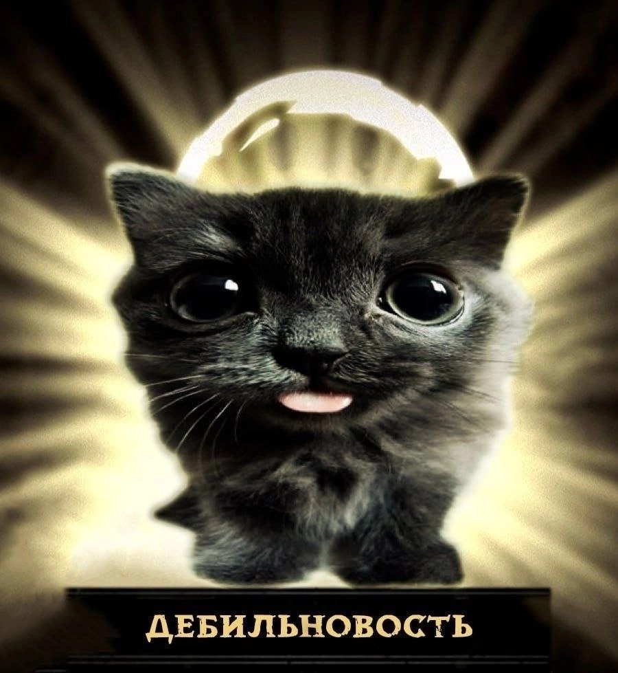 Запостим штуку ради шутки — StarNir · Стрекоза