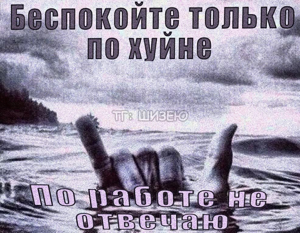 Всему своему начальству посвящаю, от сердца — bolnoeKoleno · Стрекоза