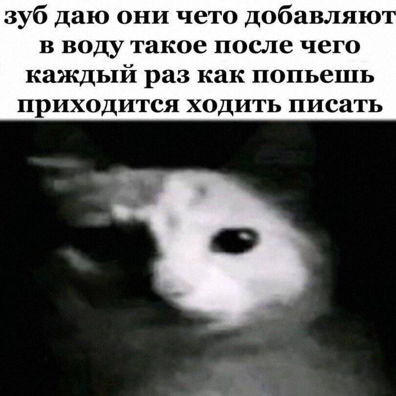 Они добавляют монооксид дигидрогена! Я так и знал — Steveechanskiy · Стрекоза