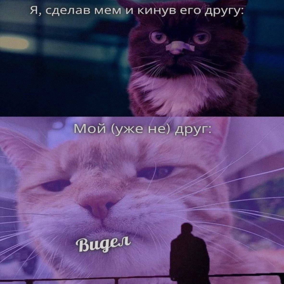 И так всегда... Кстати, почему ты все еще не подписан на этот паблик?… — Steveechanskiy · Стрекоза