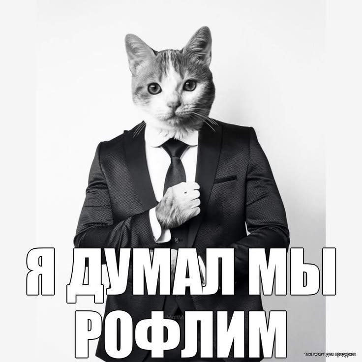 Под моим прошлым постом набралось 12 лукасов, это не шутки. Чтобы я б… — Steveechanskiy · Стрекоза