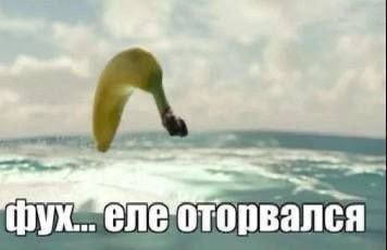 Сегодня с магазина за мной шла собачка, видимо хотела стащить мною за… — Steveechanskiy · Стрекоза
