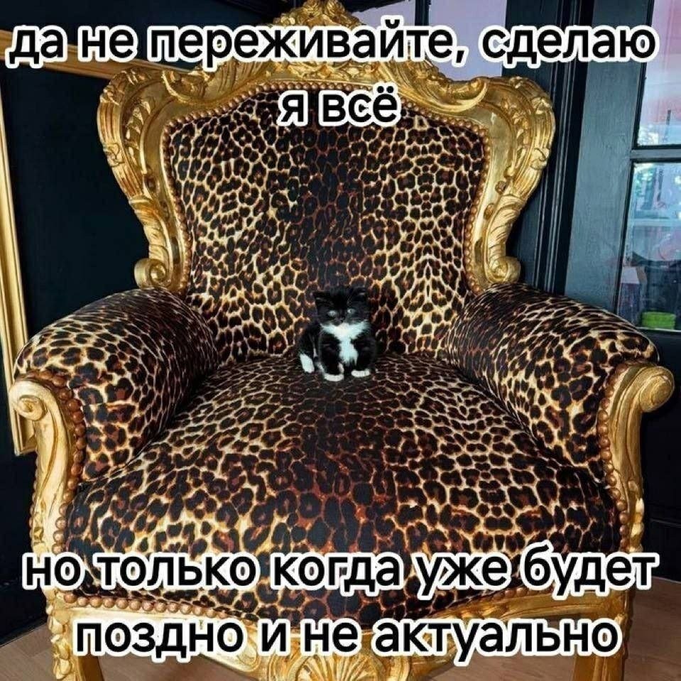 Как же меня уже достала эта прокрастинация — Steveechanskiy · Стрекоза