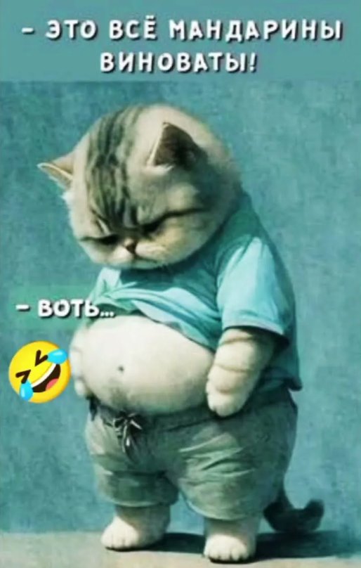 теперь я тут. Всем Охаё! xDDD — Winston0Blessed · Стрекоза