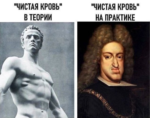 СЕГОДНЯ НА УМНОМ ЧУВАХИКИ — yonners_123 · Стрекоза
